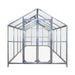 8' x 20' Greenhouse with Galvanized Steel Frame, Polycarbonate Twin-Wall Roof and Crystal-Clear Solid Walls