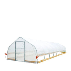 3.7 x 12 m Tunnel Greenhouse Grow Tent with 6 Mil Clear EVA Film, Roll-Up Sides, TMG-GH1240