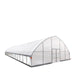 TMG Industrial 30’ x 80’ Tunnel Greenhouse Grow Tent w/6 Mil Clear EVA Plastic Film, Cold Frame, Hand Crank Roll-Up Sides, Peak Ceiling Roof, TMG-GH3080
