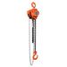 TMG Industrial 1 Ton 10' Lift Chain Hoist, 360° Swivel Hook, ASME B30.16, TMG-AHC1