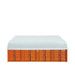 TMG Industrial Pro Series 50' x 40' Dual Truss Container Shelter with Heavy Duty 32 oz PVC Cover, Enclosed End Wall and Front Drop, TMG-DT5040CF-PRO