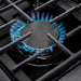 TMG Living Kitchen 48” Freestanding Gas Convection Range, Commercial Convection Fan, 3-Layered Glass Window, 9000-18500 BTU, TMG-HRG48
