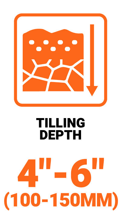 Metal Shed